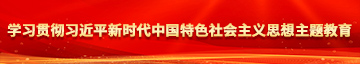 少萝中出网站学习贯彻习近平新时代中国特色社会主义思想主题教育