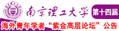 我要找美女操逼南京理工大学第十四届海外青年学者紫金论坛诚邀海内外英才！